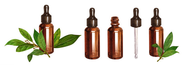月桂集精油，月桂叶，琥珀色玻璃瓶，滴管。在白色背景上绘制水彩插图。适用于医药美容、天然美容图片下载