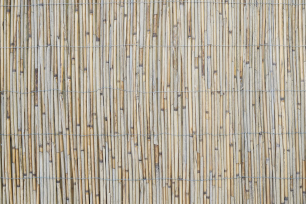 芦苇屏风或竹篱笆背景花园图片下载