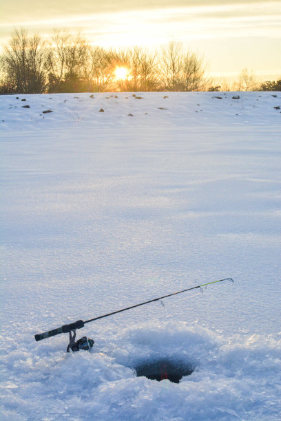 冬天鱼，寒冷季节活动，背景复制空间图片下载