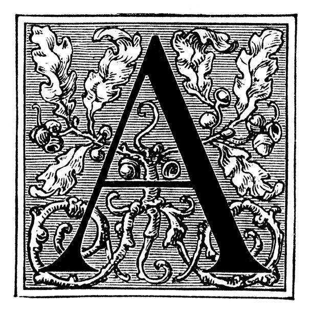 华丽的大写字母A图片下载