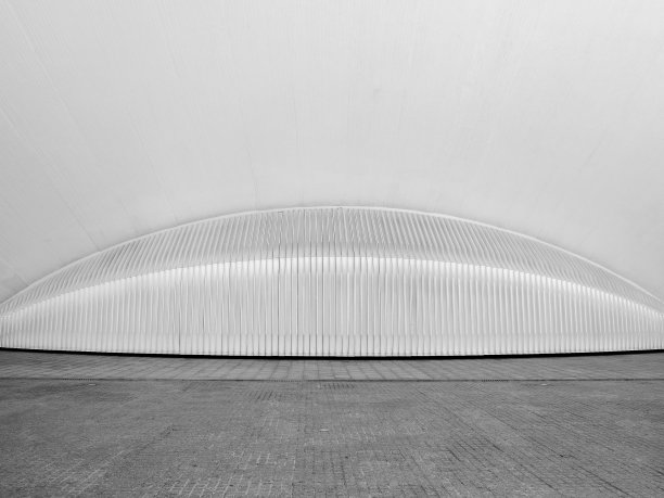 抽象的形式就像一个贝壳，在白色的色调中有直线图片下载