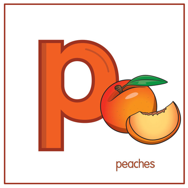 用字母P小写字母的桃向量插图进行幼儿ABC学习练习图片下载