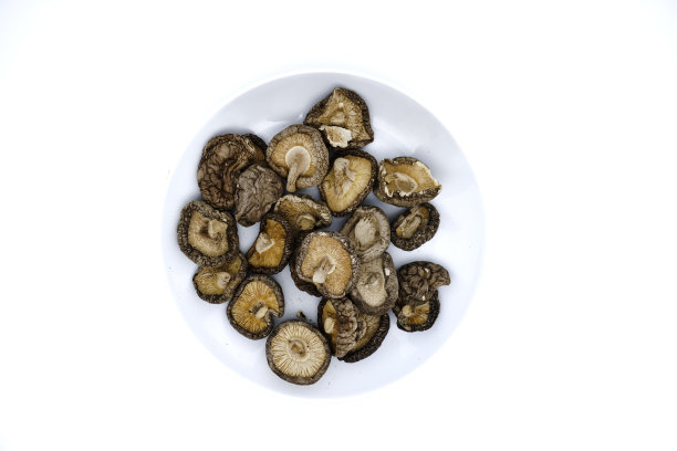 干香菇分离在白色背景与复制空间。俯视图或平面布局。图片下载
