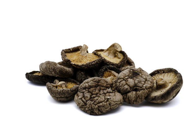 干香菇分离在白色背景与复制空间。特写镜头。图片下载