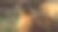 一只毛绒绒的母鸡坐在干草上。图片下载