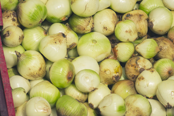 在蔬菜市场卖白洋葱。图片下载