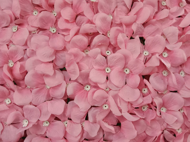 粉红色的人造花的背景。粉红色的绣球花花瓣。绣球花的背景在粉红色。图片下载