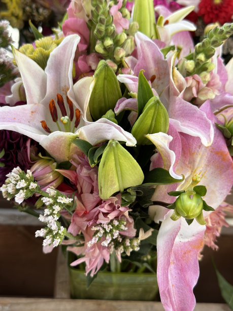 什锦鲜花图片下载