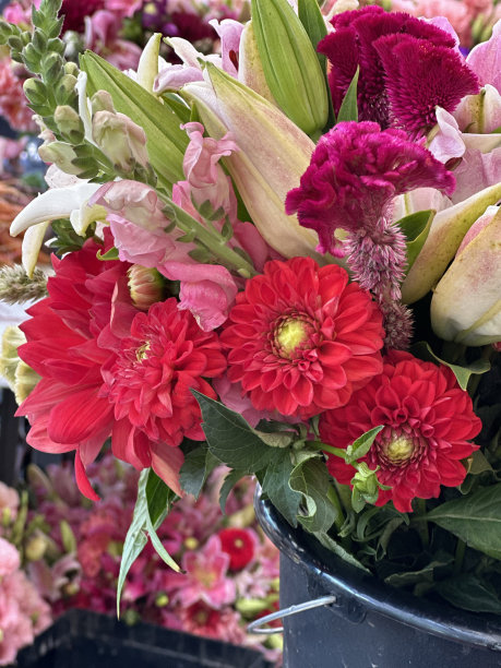 什锦鲜花图片下载