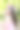 快乐的夏天女人肖像。春天美女模特在粉红色的花圈上微笑图片下载