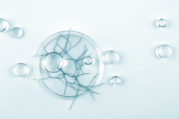 化学实验室研究。摘要化妆品实验室。分子的玻璃模型。图片下载