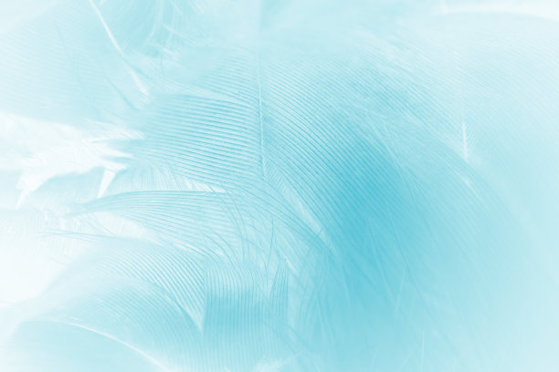 美丽的蓝色蓝松石复古色趋势羽毛图案纹理柔和的背景图片下载