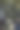 音乐相关背景。照片创建写音乐与模糊的森林背景，其边缘是由旧磁带。(社交媒体背景)图片下载