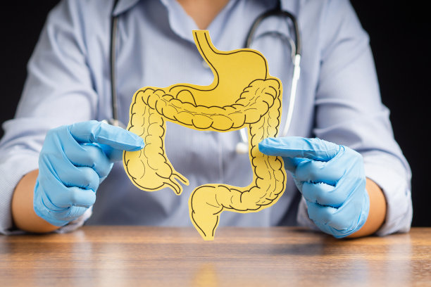 医生拿着一个用黄色纸做成的大肠模型图片下载