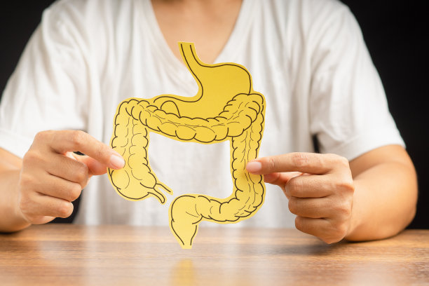 手拿着纸做的大肠形状，坐在黑色背景上图片下载