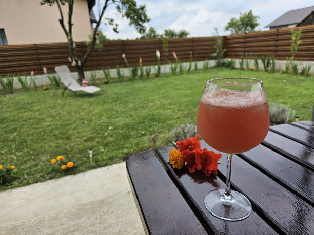 食物和饮料，你可以享受户外在夏天图片下载