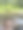 河马在动物园公园的池塘里玩耍图片下载