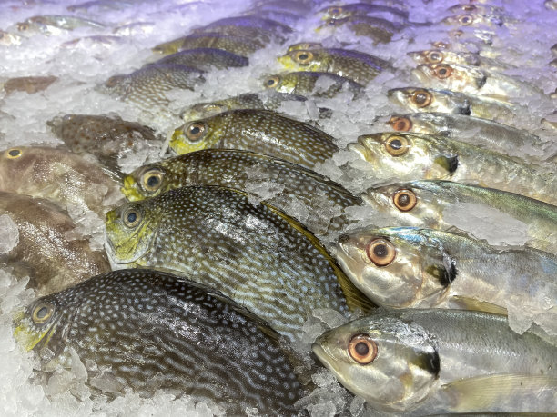超市里一堆冰块上的生鲜鱼图片下载