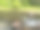 河马在动物园公园的池塘里玩耍图片下载