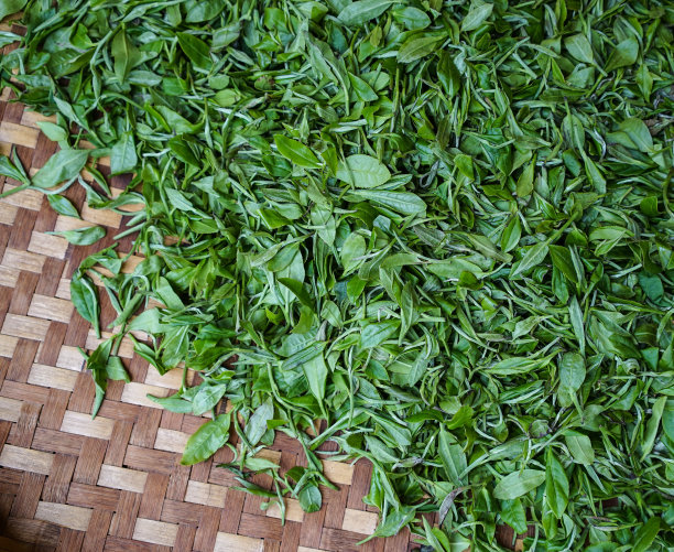 在竹筐里晒茶叶图片下载