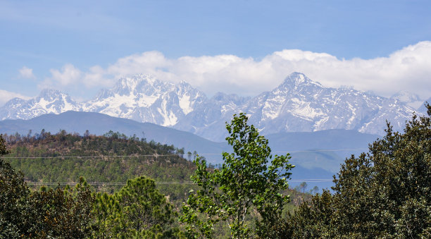 中国云南的森林风光图片下载