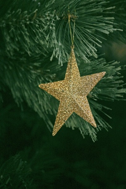 圣诞之星图片下载