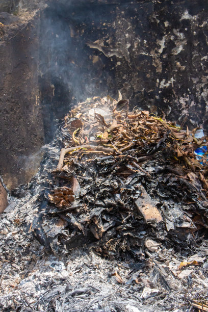 房子后面燃烧着干树叶图片下载