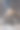 房子后面燃烧着干树叶图片下载