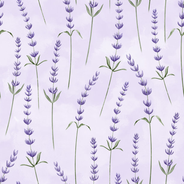 紫色水彩抽象背景薰衣草无缝图案。手绘插图与普罗旺斯薰衣草花。植物背景与野生草药包装纸或纺织品设计图片下载