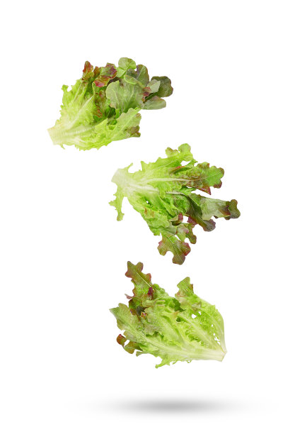 新鲜的红莴苣落在空中，孤立在白色上图片下载