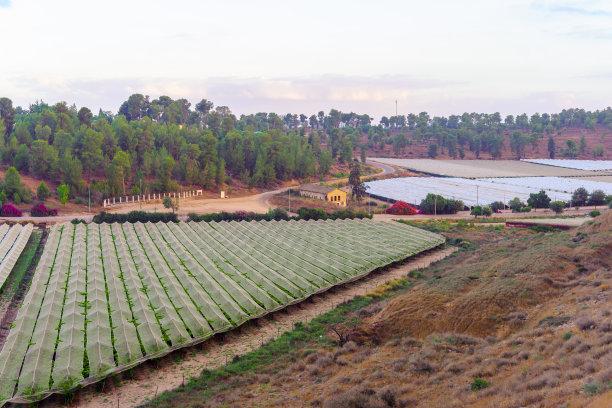 日出的乡村景色在示非拉地区图片下载