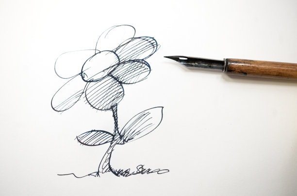 用黑色墨水画的花图片下载