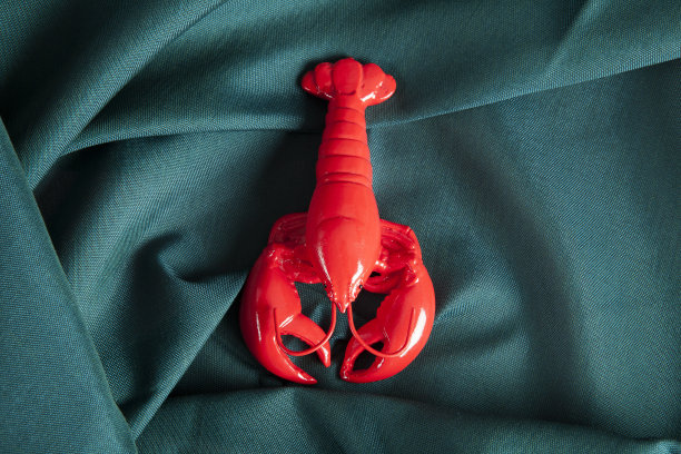 绿色波浪织物背景上的一只龙虾图片下载