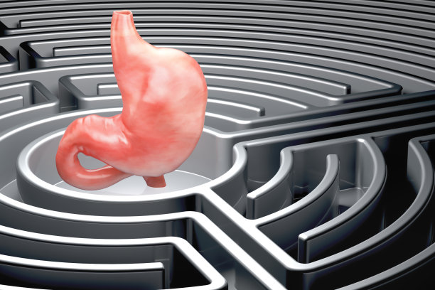 人胃里面的迷宫。三维渲染图片下载