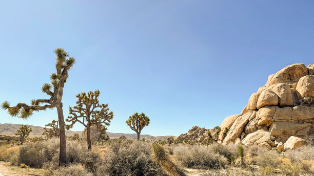 沙漠温泉图片下载