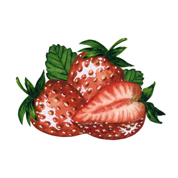成熟和多汁的草莓隔离在白色的背景，手绘水彩浆果插图。理想的背景，图案，明信片，问候，标志图片下载