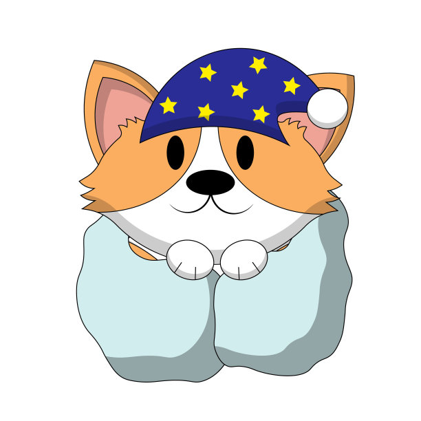 可爱的柯基与睡眠帽和彩色毯子图片下载