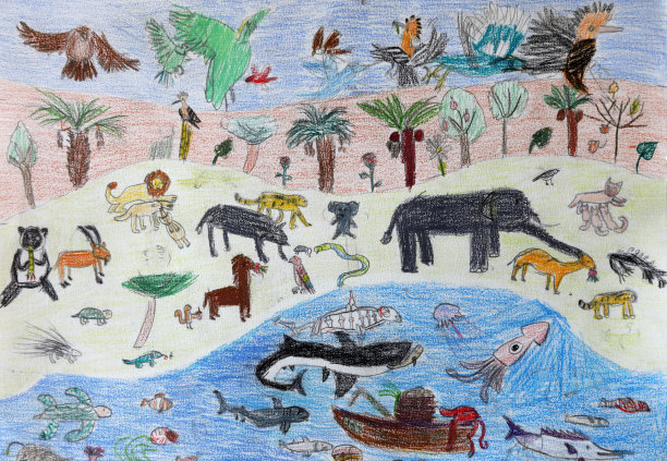 野生动物生活孩子绘画绘画艺术海鱼天空的鸟图片下载