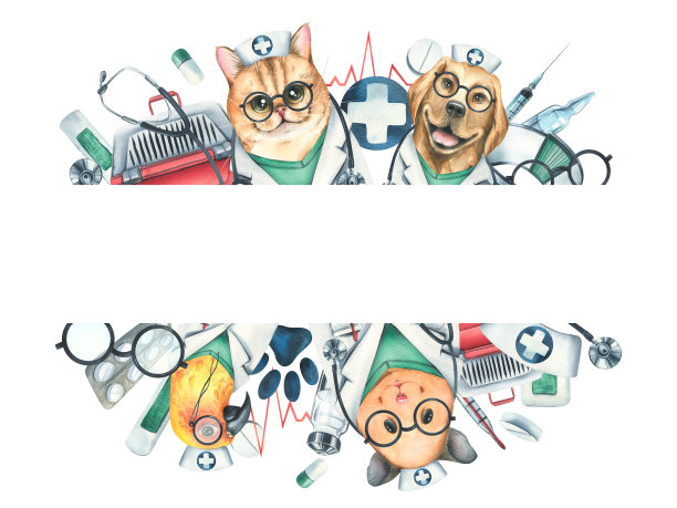 兽医主治仓鼠、狗、猫、鹦鹉、宠物载体、药品。水彩插图，手绘，用于诊所，医院，药店的设计。框架模板在一个白色的背景。图片下载