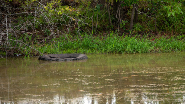 废旧轮胎回收用于鱼类栖息地图片下载