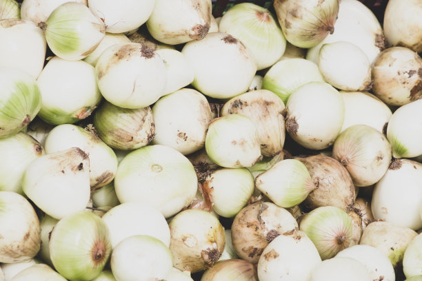 在蔬菜市场卖白洋葱。图片下载