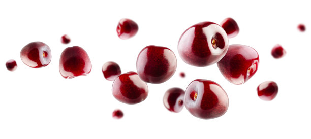 经过精心修饰的樱桃浆果在太空中飞翔和漂浮。有选择性的重点。孤立于白色图片下载