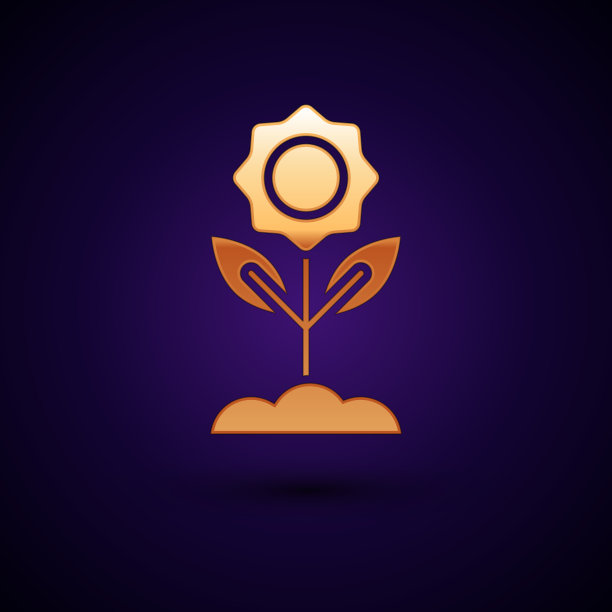 金色的花图标孤立在深蓝色背景图片下载