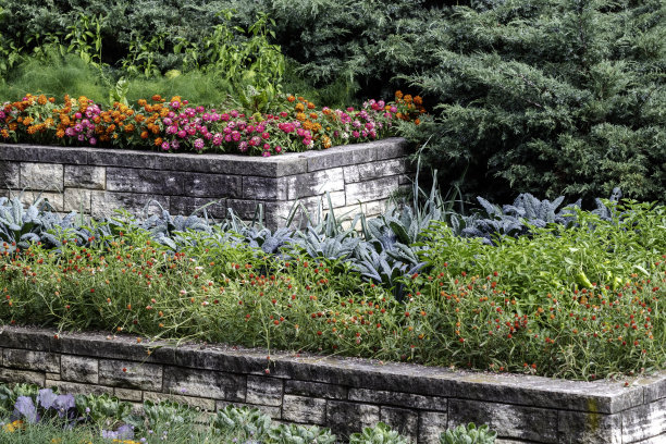 平台园图片下载