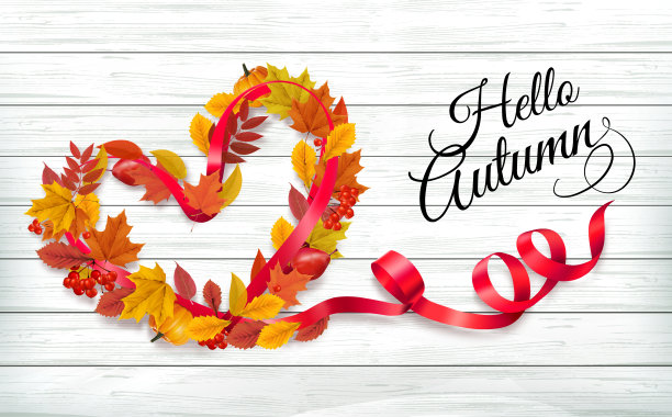 秋天五颜六色的森林树叶和一个红色的浆果心形的形状和红色的丝带木制背景。销售框架。矢量插图。图片下载