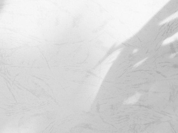 阴影叶植物背景，抽象叶花白色覆盖自然枝叶模糊水泥大理石背景，阳光从灰色的窗口模拟最小模板产品，墙地板图片下载