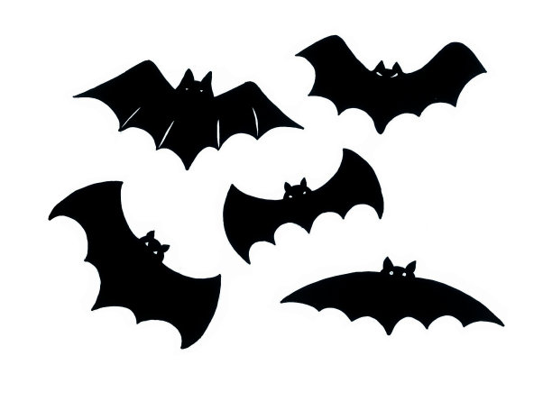 一组不同的黑色蝙蝠剪影。孤立在白色背景上。图片下载
