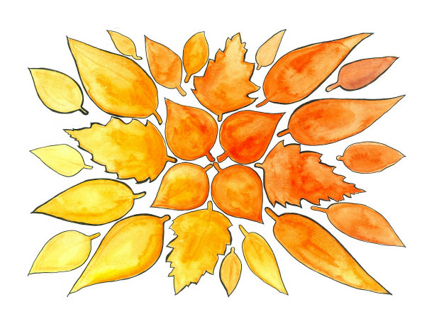 白色背景上的秋天橙色树叶图案。水彩和黑色轮廓。不同的叶子在背景的中心形成一个图案。图片下载