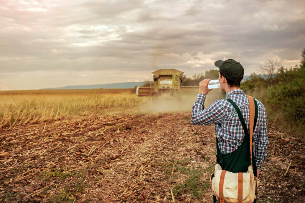 年轻的男性农民一边喝水，一边看着收割向日葵的联合收割机图片下载