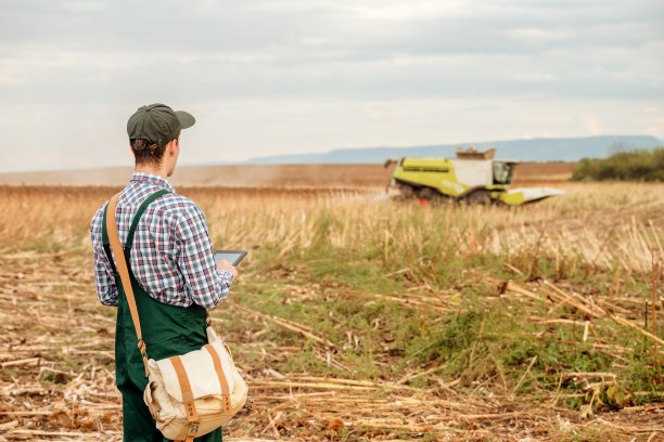 后视图的男性农民看联合收割机收割向日葵图片下载